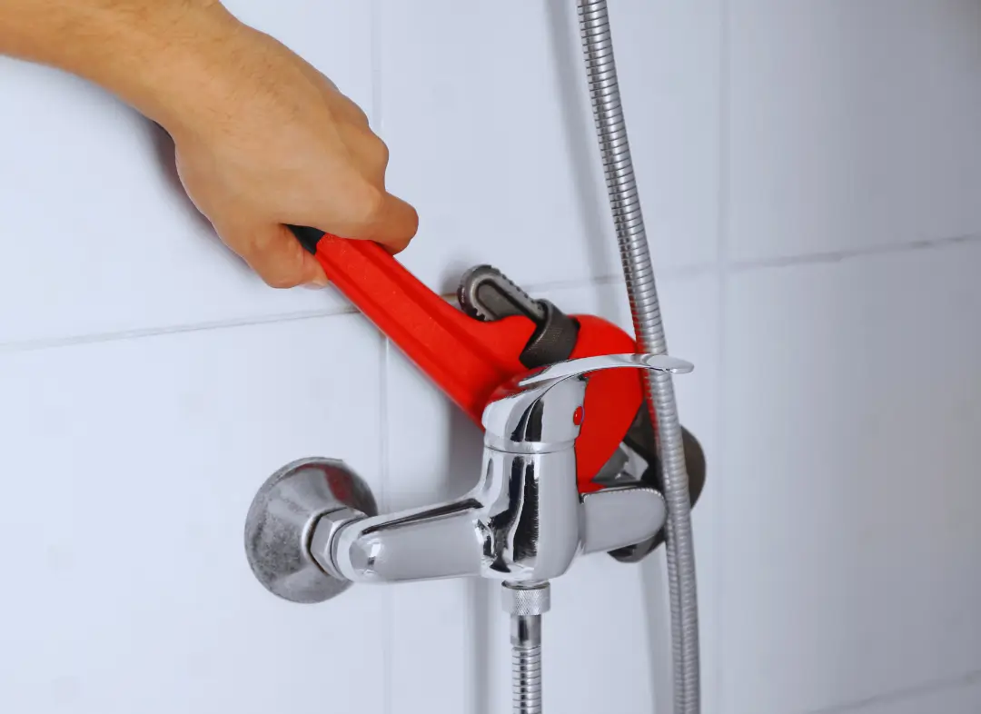Mitigeur Thermostatique douche Blanquefort