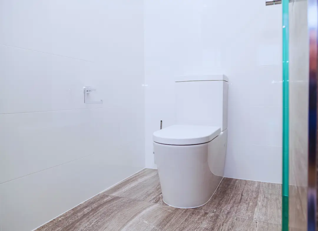 Remplacement de wc Blanquefort
